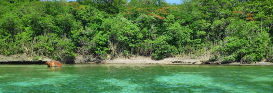 vivre en martinique avantages et inconvénients