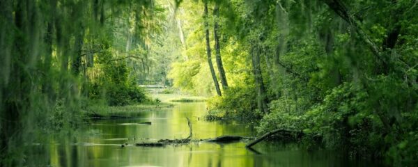 visiter le marais poitevin en 3 jours